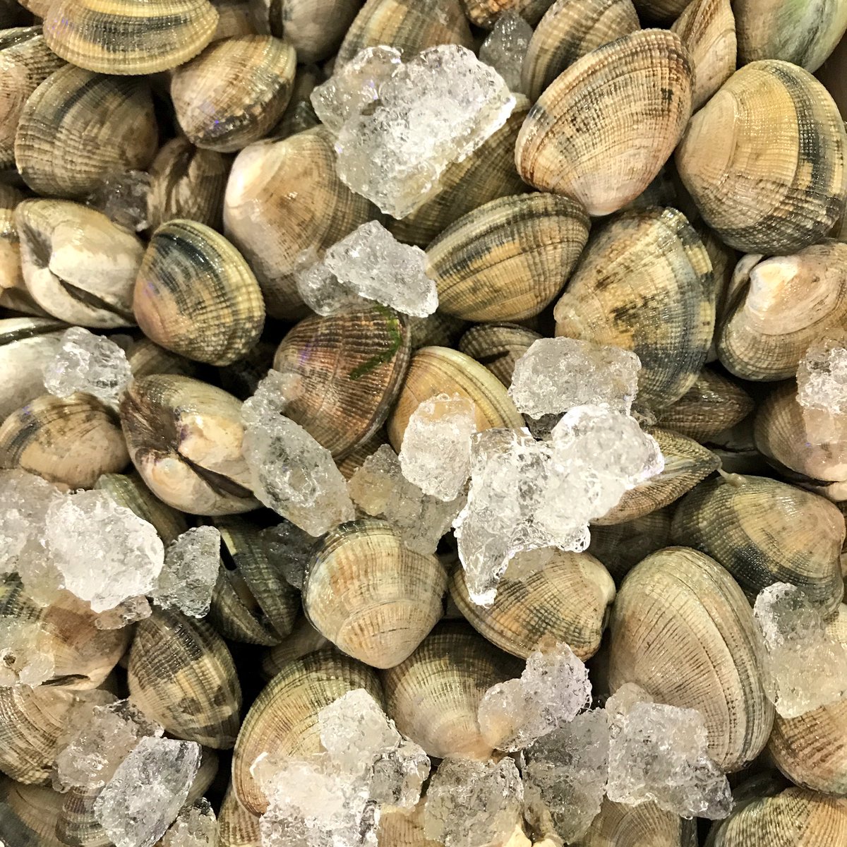 Veasey & Sons Fishmongers 🐟🦀🐙🦐 tweet media