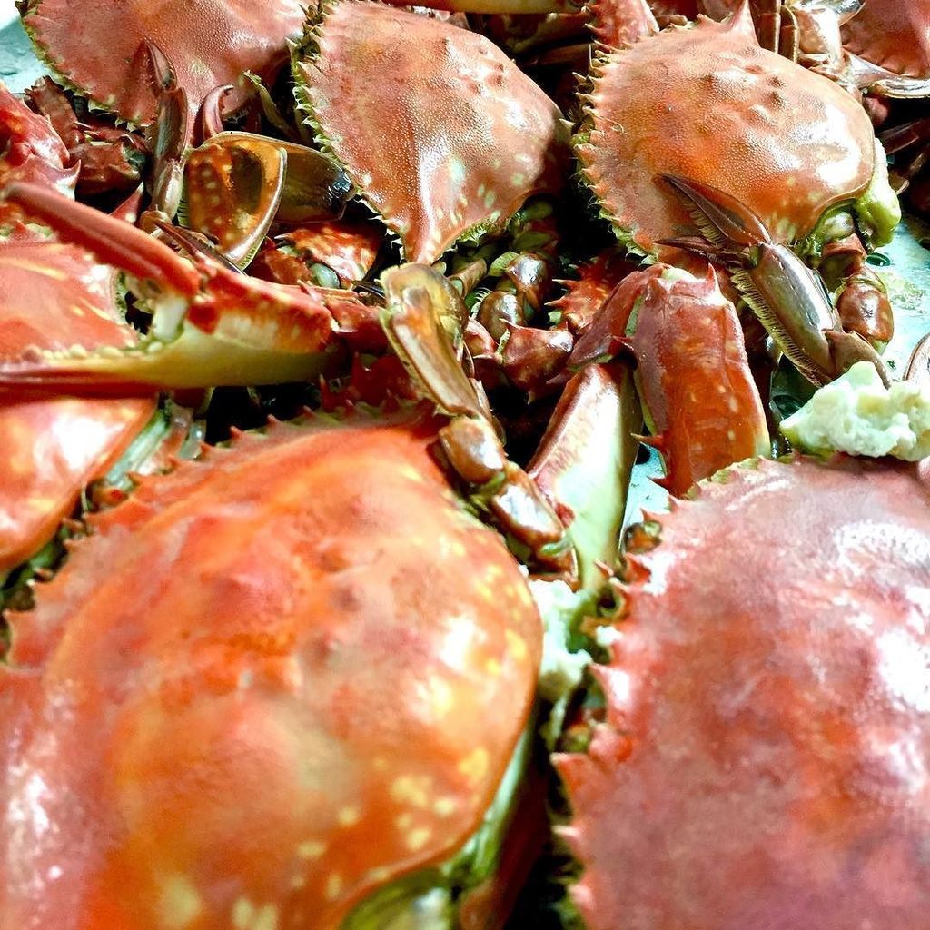 フラットリア 高田馬場 イタリア料理 على تويتر 渡り蟹 蒸しあがりましたっ みその旨みをラヴィオリに詰め込みます Flattoria 高田馬場イタリアン 渡り蟹のパスタ