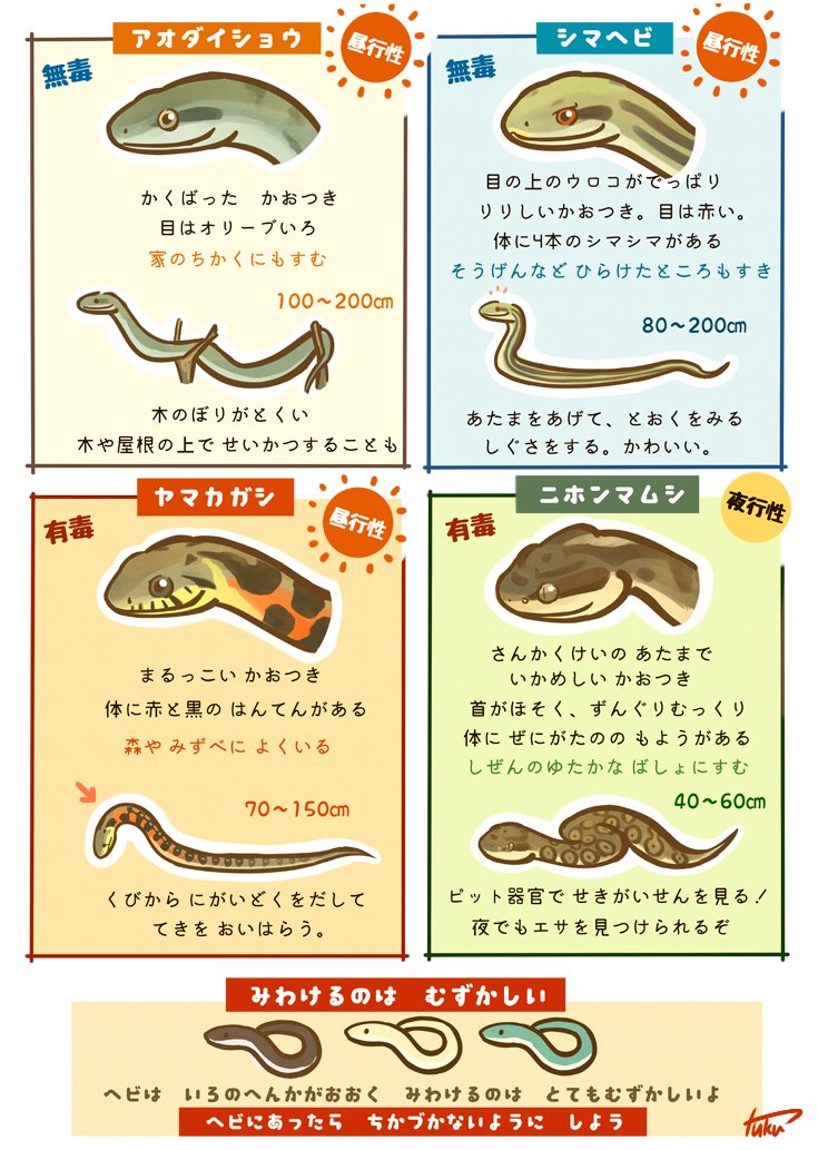 ヘビは柄と体型を覚えれば見分けられる ヘビの見分け方のイラストが話題に Togetter