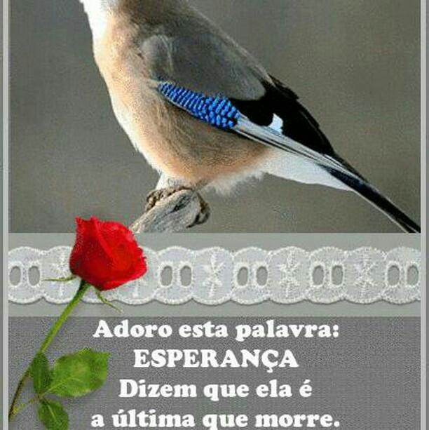 AuerKatalin's tweet photo. https://t.co/5Gu4q6HsI4