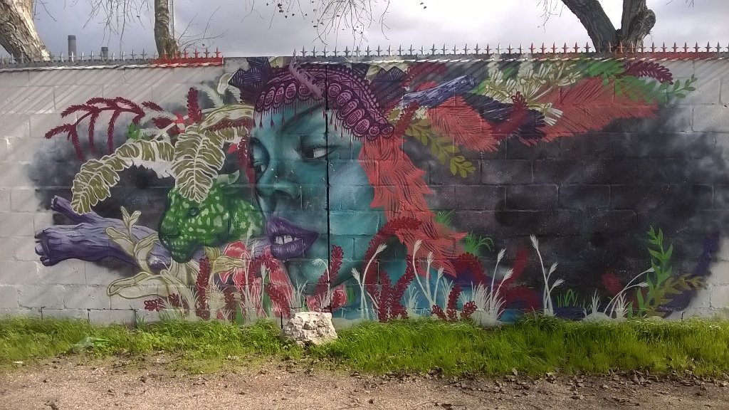 MrRicePE's tweet photo. @MBRugbySA2017 Street Art from the Langa township. https://t.co/0aWI8is4tp