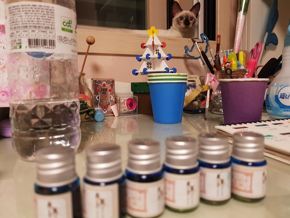 4개!!? 가 아니라 6개..였다아아아😂😂
잘못 왔어어엉
깜짝 주인님 등장😍😍