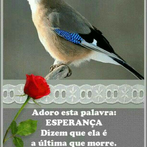 AuerKatalin's tweet photo. https://t.co/A5rGURpXqM