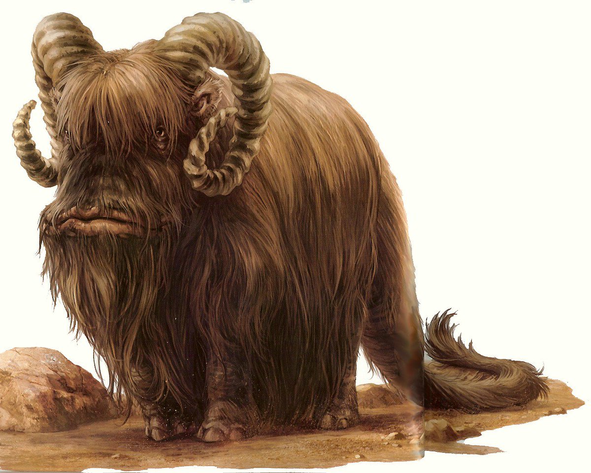 GConservancy's tweet photo. The small endemic population of Alderaan Bantha was about to be listed under the Galactic Species Act, but was eradicated by a sky laser https://t.co/FIN2eIU0Rq