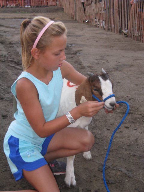 Logan County Fair tweet media