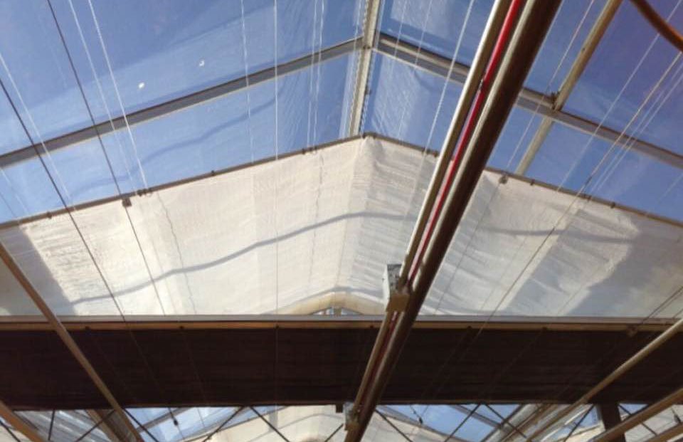 SvenssonObscura's tweet image. Triple layered #OBSCURA + #lightdiffusion #HARMONY in peak shaped #greenhouse install #lightdep #greenhousegrown #sungrown #cannabisculture