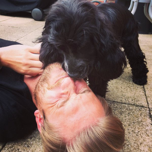 VolTeamHDogs's tweet photo. Mr. @thomasclark87 appearing twice in one month on the @HearingDogs 'In The Community' page we note! #volunteerfirst https://t.co/FMjWC51TEe https://t.co/mWRToqxawO