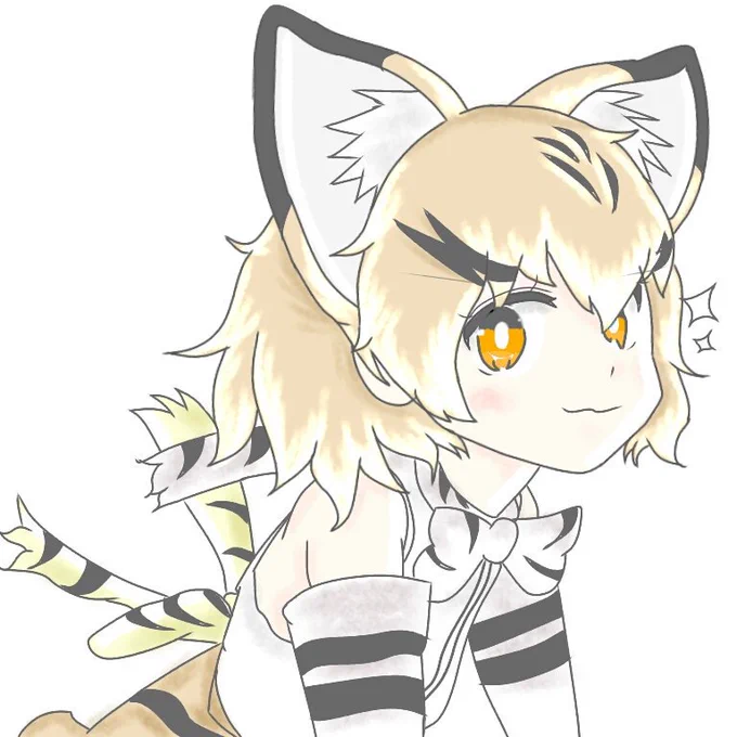 スナネコちゃんのまとめなのです～ 