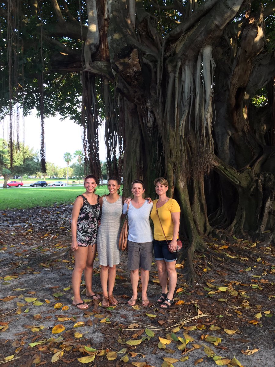 tourstp's tweet photo. Under banyan trees of North Straub Park.  Kathy &amp; friends took #sunshinecity tour. #tourstp #revbastardo #walkingtours #stpete #StPete https://t.co/HrHsbdyN0Y