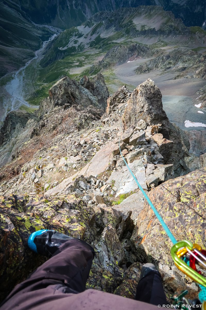 Robin REVEST tweet media