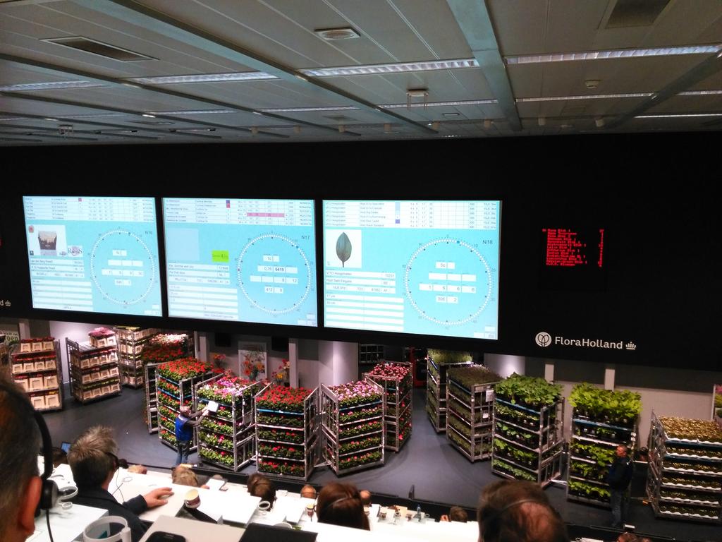 Bloemisten verleggen versneld hun inkoop, vraag en aanbod uit balans. #Bloemistenklok Naaldwijk sluit daarom eerder. mi8.ly/mvhv4j