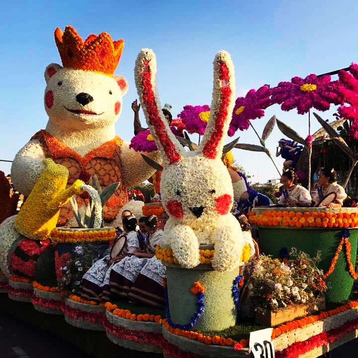 FallaAPiles's tweet image. Eres un absoluto crack @FallasXimoE , felicidades!!! #fAnPi #fallas #artfaller #carrozas #barondecortes #batalladeflores2017