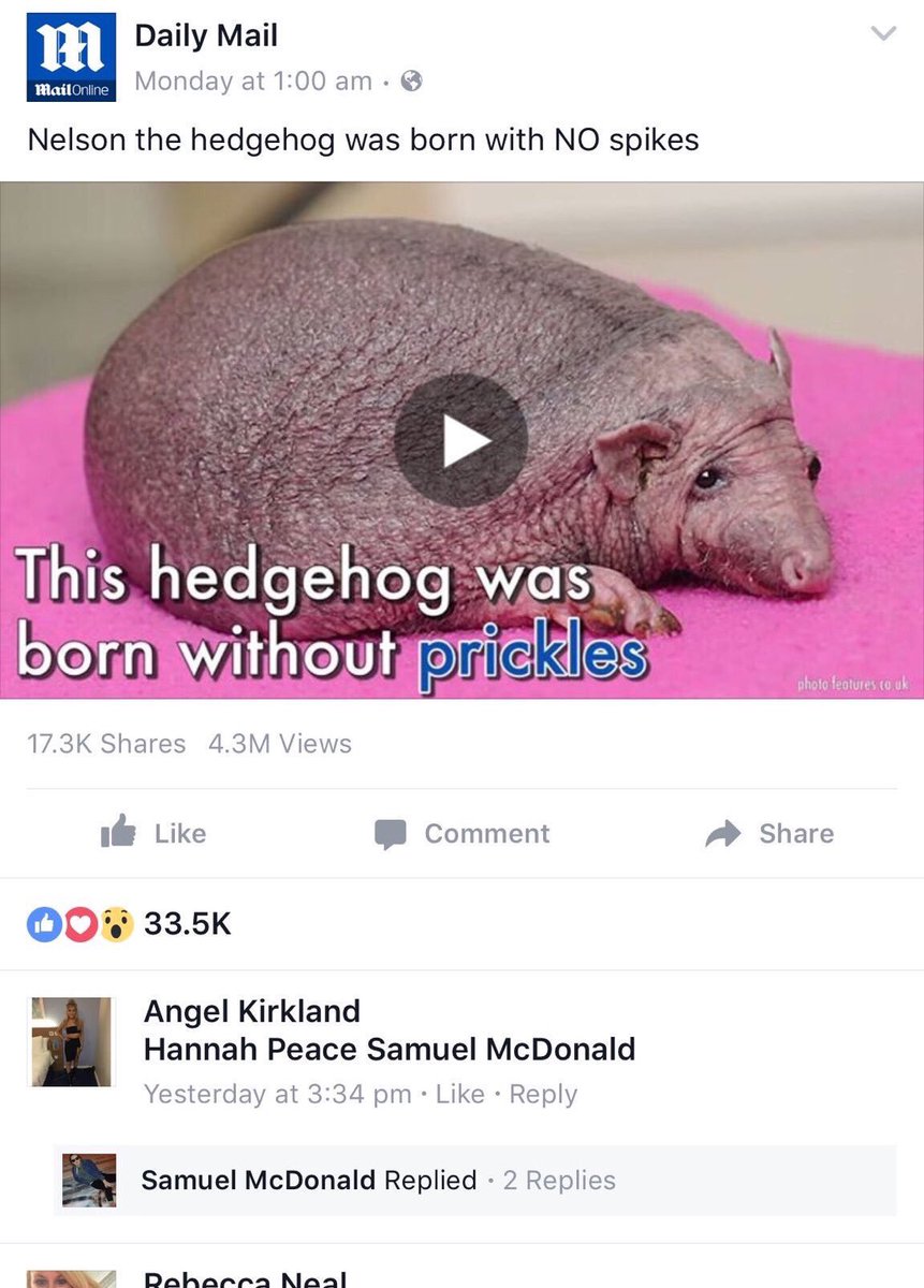 memedisorder's tweet photo. Facebook vs. Twitter https://t.co/JZp5wF9D1O