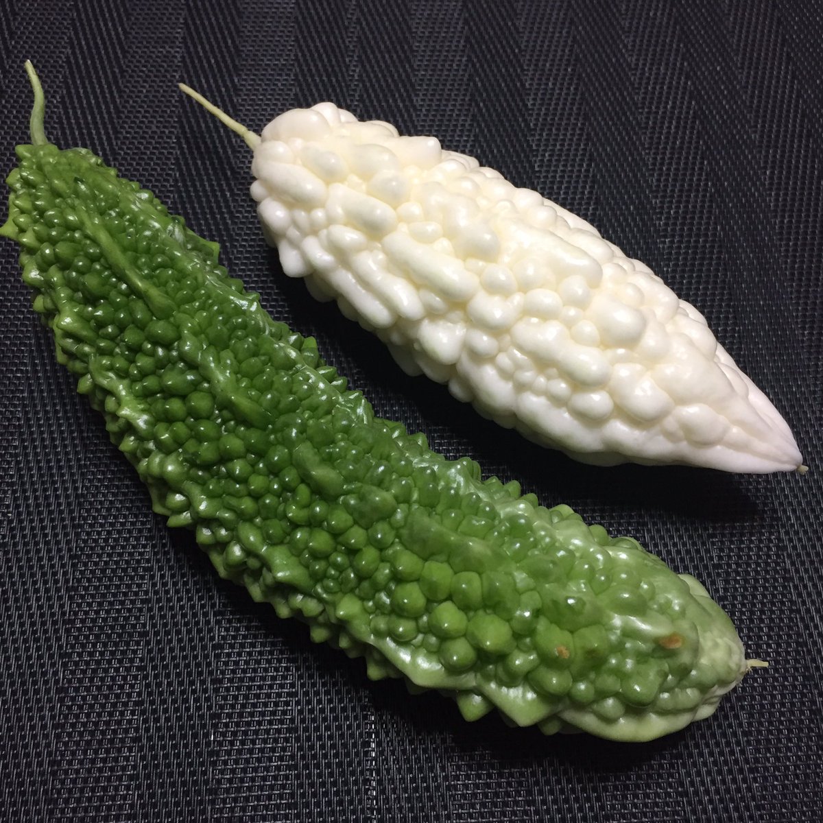 paisley3017's tweet photo. Today's harvest : White Bitter Gourd is the first-fruits in my garden. #whitebittergourd #rarevegetable 初生りの白ゴーヤ、緑色の物より苦くないらしい。 https://t.co/Sf2dG1kjE3