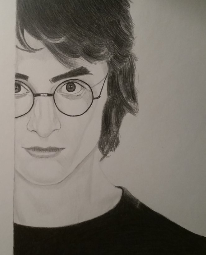 WilliamsArtwork's tweet photo. My drawing of Harry Potter (Daniel Radcliffe)
Took me around 16 hours to draw https://t.co/otVOUxjz60