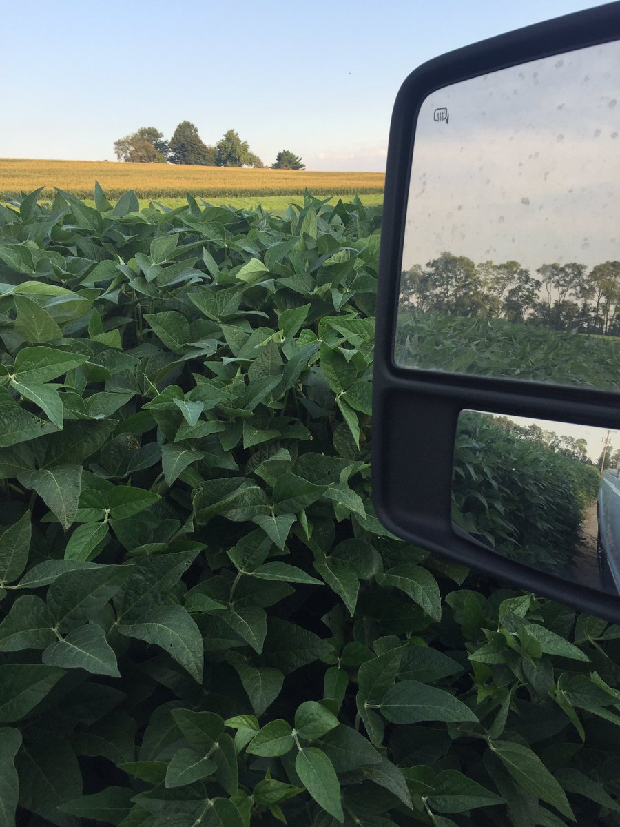 Garry Graham II tweet media