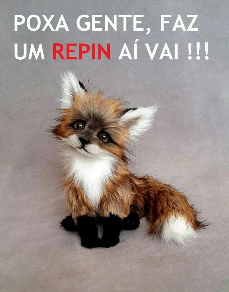 RaquelManduca's tweet photo. #TimBeta 
#timbetalab 
#meajuda https://t.co/8gbss7TaOL