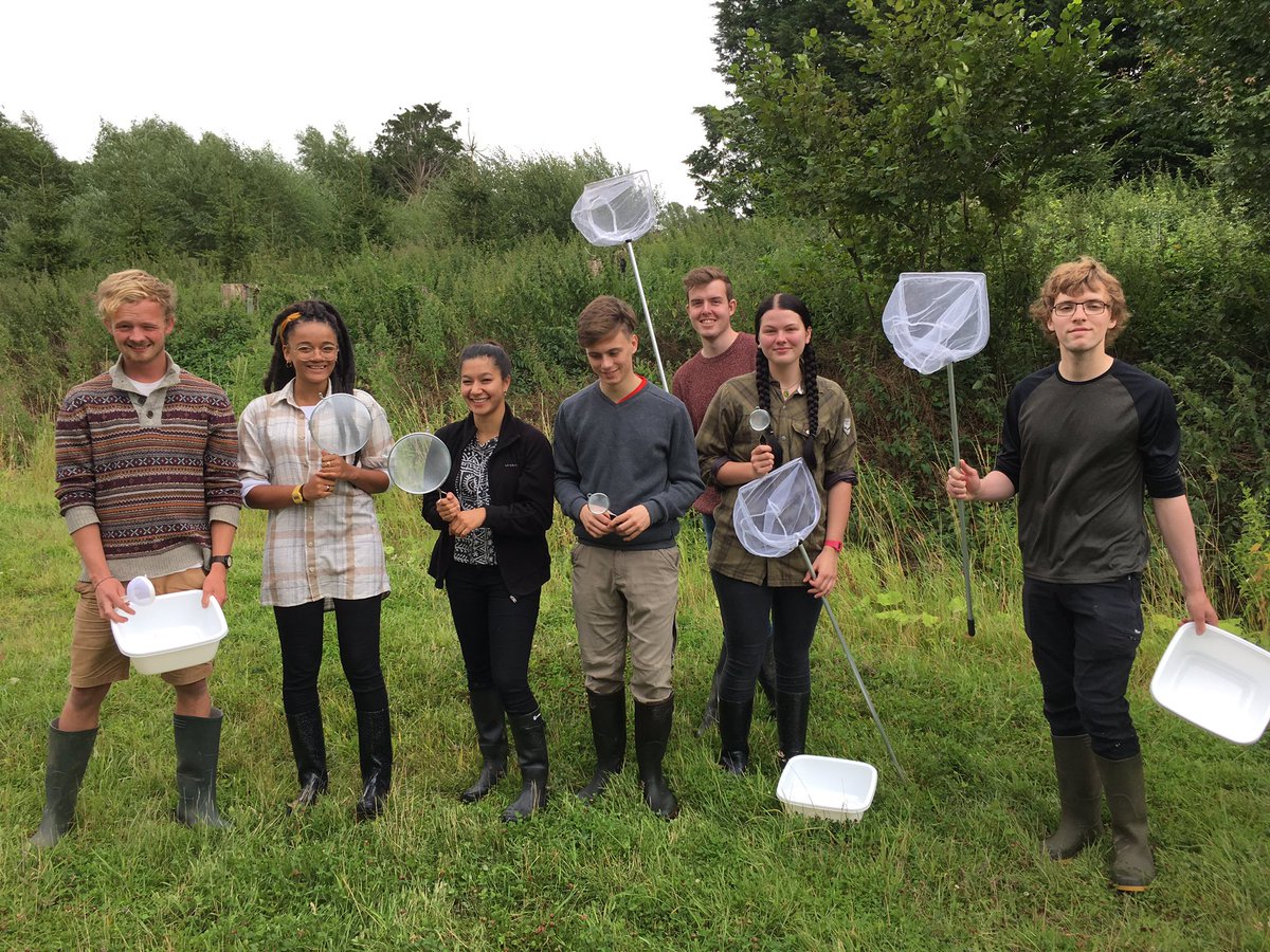 berrycroft_hub's tweet photo. The #BugFest17 students discover the most important water beetling equipment item to have in the field is the humble kitchen sieve https://t.co/EnsWbGks76
