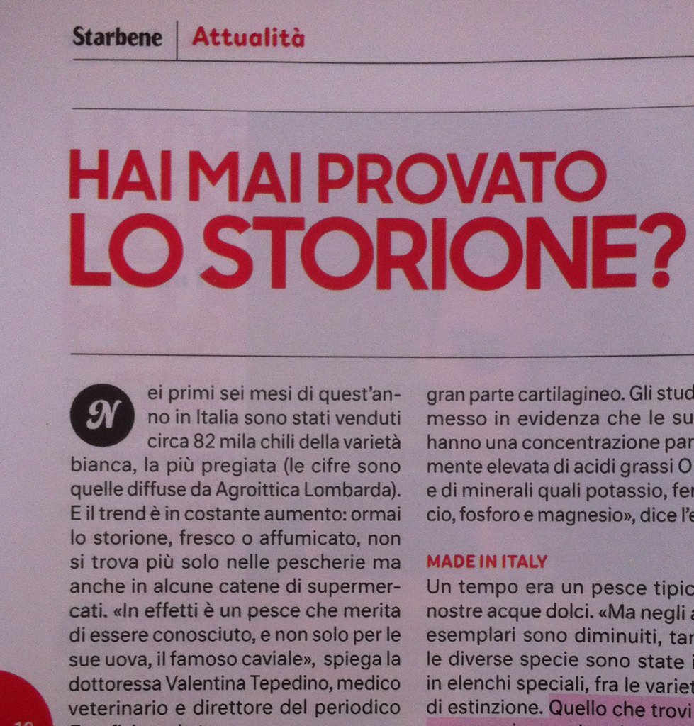Eurofishmarket's tweet photo. Su @Starbene di questa settimana si parla anche di #storione #nonsolocaviale @lamo_italiano @marcello_leoni https://t.co/cb5Rh8Ykx6