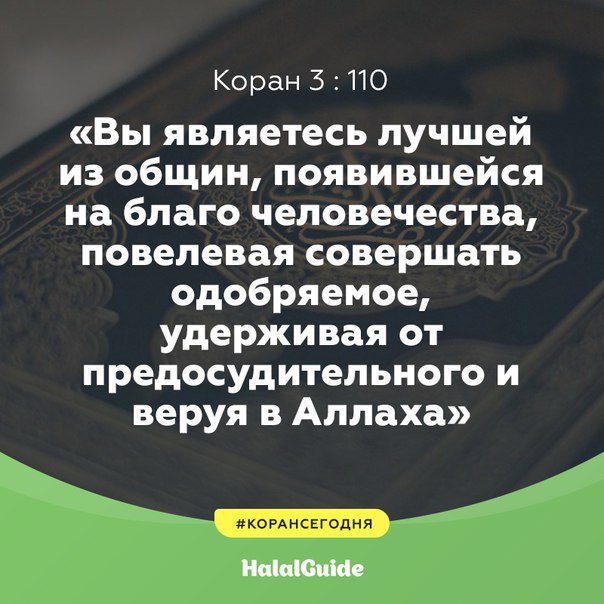 HalalRussia's tweet photo. В Священном Коране сказано (смысл):

#аятизКорана #ислам #Коран #халяль #халяльгайд #halal #halalguide https://t.co/Mtn3pZnVeT