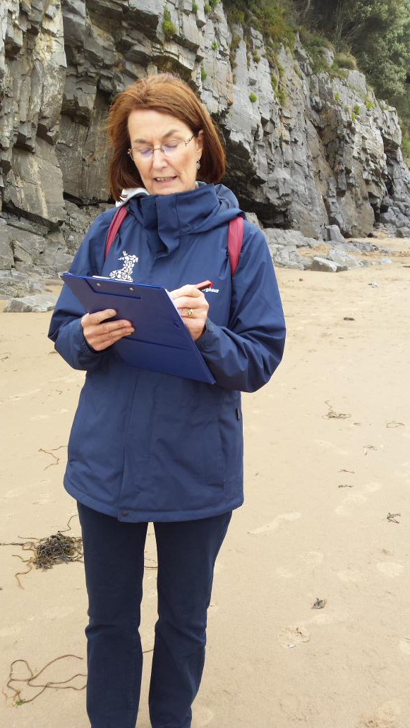 Look out the governor is on the job. #blueflag annual control visit. #CaswellBay <a href="/Keep_Wales_Tidy/">Keep Wales Tidy</a>