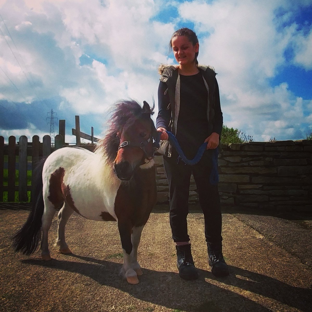 Meet Shauny, one of our smallest ponies! farmerparrs.com/times-prices/ #farmlife #fleetwood #lancashire @visitlancashire