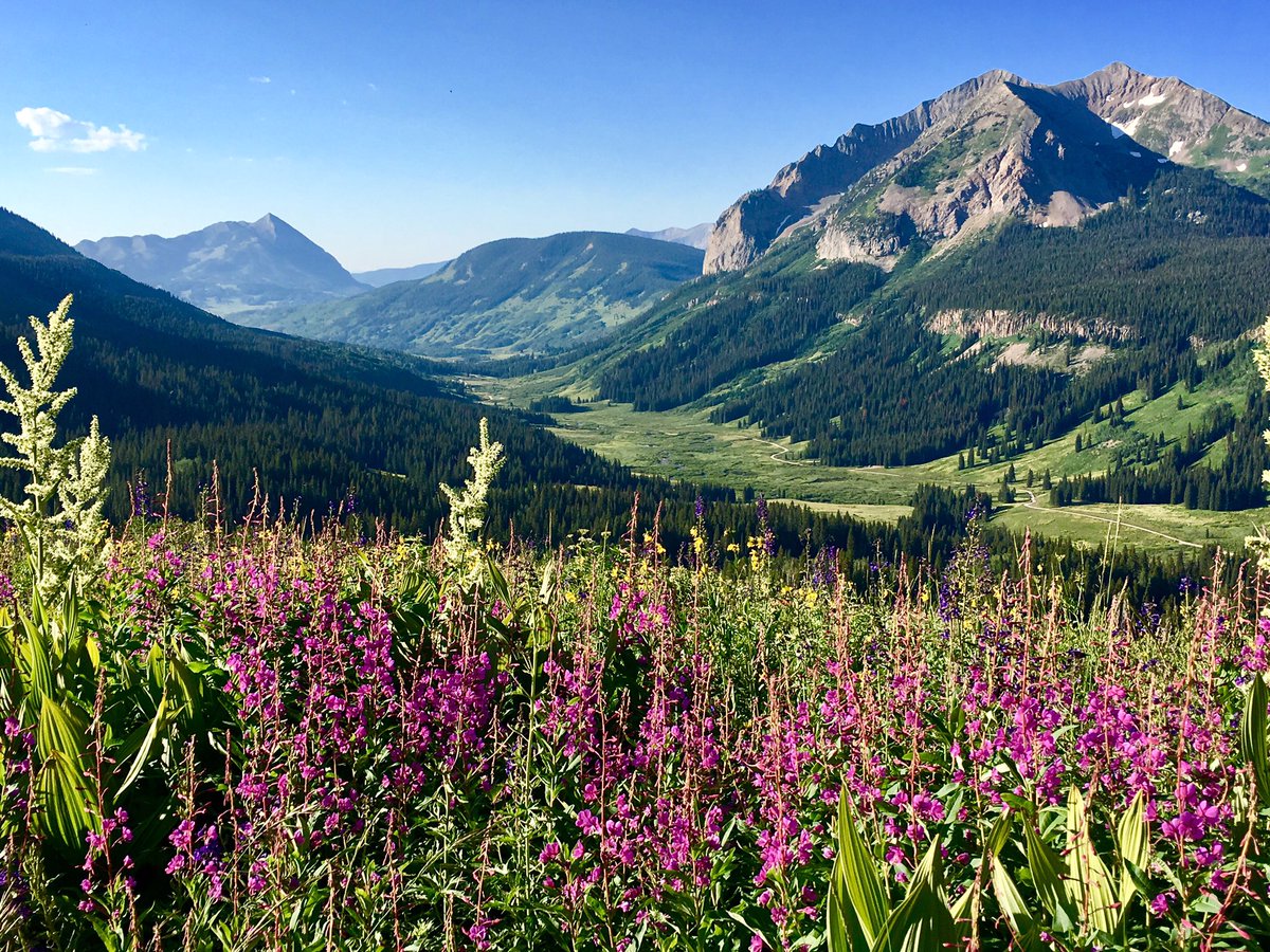 BrianBarker's tweet photo. Solo spin class at the local fitness center before work. At my desk @AdaptiveCB by 9am!  #crestedbutte @skicrestedbutte @VisitGCB #mtnliving https://t.co/BBsSH3cqLf