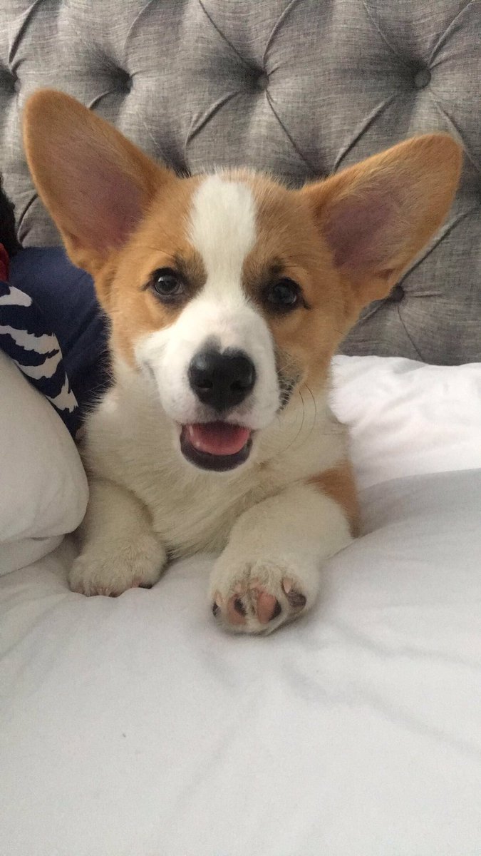 Darcii13's tweet image. Thinking about walty all day everyday