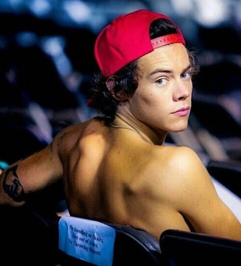 MyBabyKiwii's tweet image. I'm okay 

#MTVHottest Harry Styles