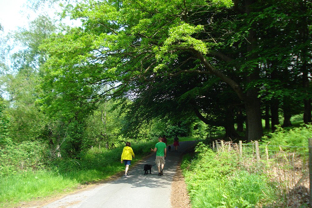 DiscoverWyre's tweet photo. Nicky Nook in Scorton is a perfect place to walk, explore &amp; enjoy fabulous views this #NationalCountrysideWeek @forestofbowland #OutdoorWyre https://t.co/J03v8fuh2w