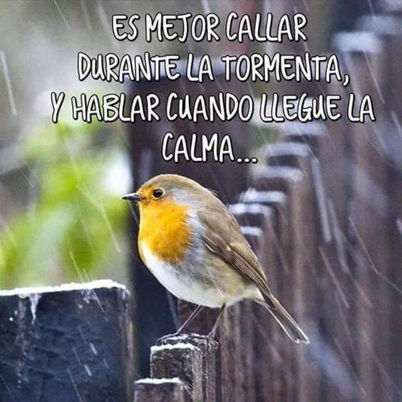 andrescarras's tweet photo. Es mejor callar durante la tormenta y hablar cuando llegue la calma... https://t.co/AgiMgAHJoL