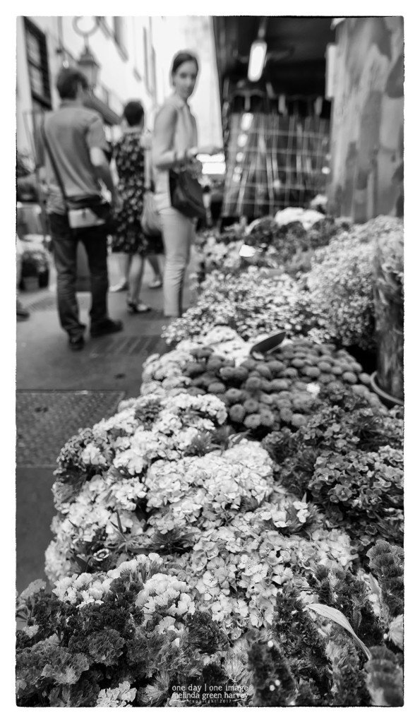 melindagharvey's tweet photo. #Freshflowers at the market. #MarchédesEnfantsRouges #Paris #France #learningtosee #travelphotography #Leica https://t.co/6IuQ8U0b90 https://t.co/3M8iV7lgWw