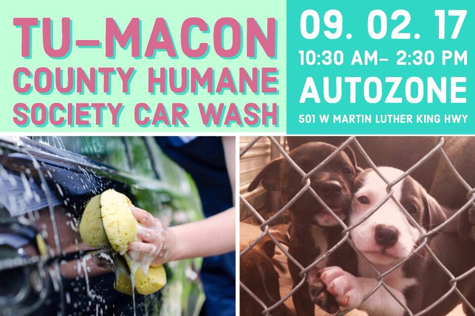TUSACR's tweet photo. Hello! We are having a car wash to raise money for the animal shelter. It will be held at AutoZone in Tuskegee on September 2. Come on out! https://t.co/JFmRr6FgK1