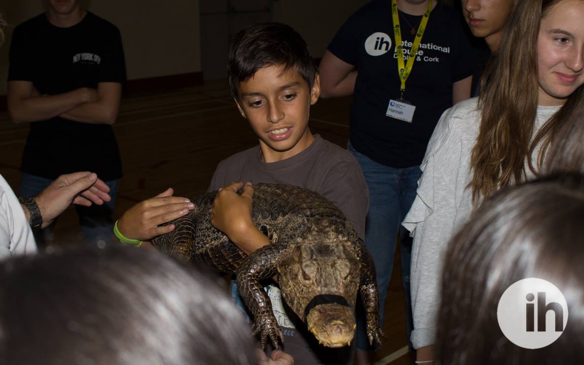 IHDublin tweet media