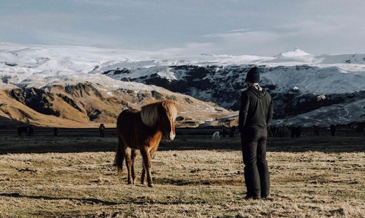 KipMooreLyrics's tweet photo. When I think about Wild Mustangs
I think about loving you babe 🎶 https://t.co/BvttR6Ajkr
