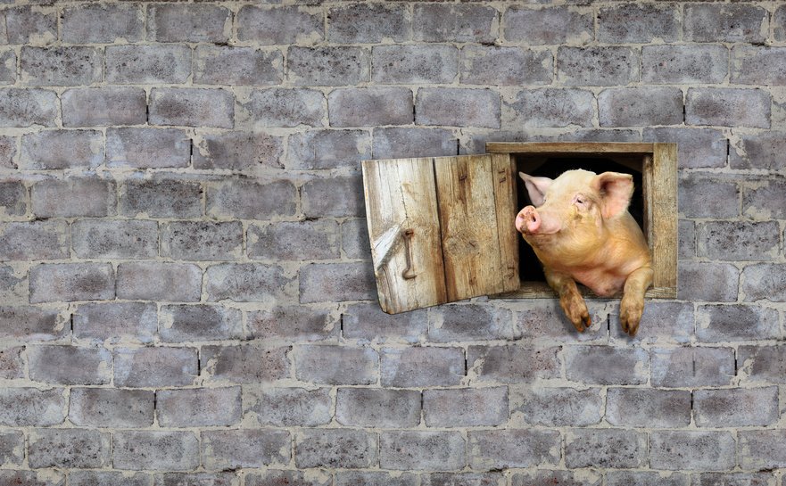 Berlin_CSI's tweet image. #Webinar #Masterprogramm für #Spürnasen! 9. August vormerken! Infos hier: bit.ly/2u3XXD3 
#Master #Kriminalistik #Weiterbildung