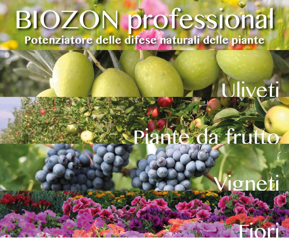 multiossigen's tweet photo. Biozon Professional ideale per #uliveti , #pianteDaFrutto, #vigneti e #fiori. Per info: https://t.co/LfwsXLwLyn https://t.co/X9LdY0dtaA