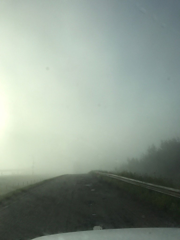 ModelT777's tweet image. Bad fog west of #Yeg #ABRoads