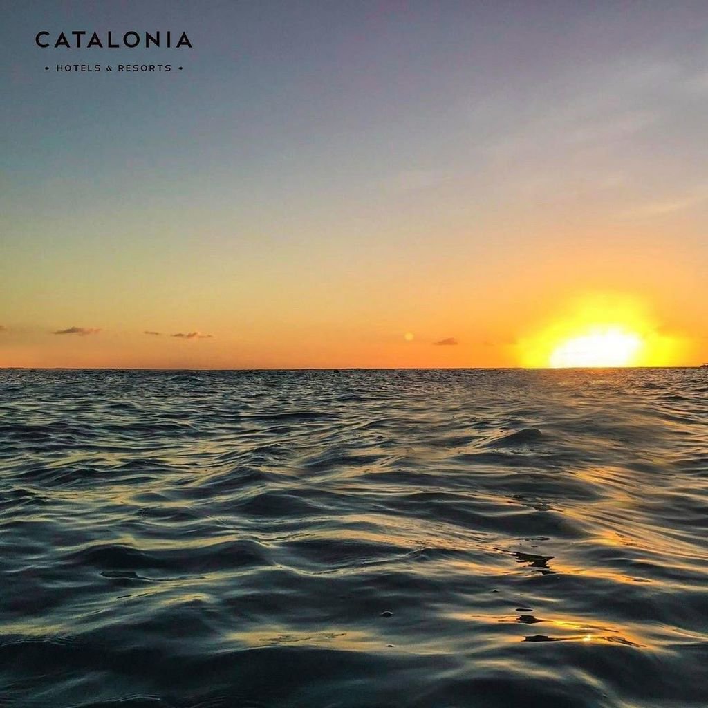 CataloniaHotels's tweet photo. Who want's to rule the ocean here!
#CataloniaGranDominicus #GranDominicus #ocean #sunset #paradise #bayahibe #Cata… https://t.co/oieNBplBij https://t.co/VYl7xaNOJ8