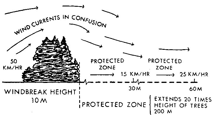 USFS_UFS's tweet photo. Single tree effect on wind in cities with pedestrian and building impacts. #UHI https://t.co/NsqDiLpF7X Positive impacts https://t.co/3nxEJwunoq