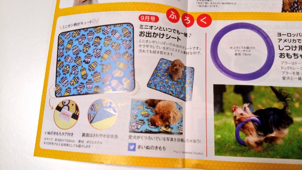 ミニオンおじさん いぬのきもちとねこのきもちがミニオン とコラボしてるけど付録がとにかくカワイイ 基本 年間購読で2号以上買う必要があるし 犬も猫もいないので流石に買わないけど 脱走防止マニュアルとか段ボール監獄ハウスは欲しくてヨダレが出る