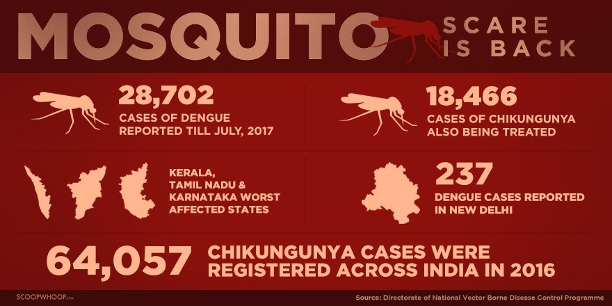 jist_news's tweet photo. #SWInfographics : Mosquito Scare Is Back https://t.co/GybtszPirk