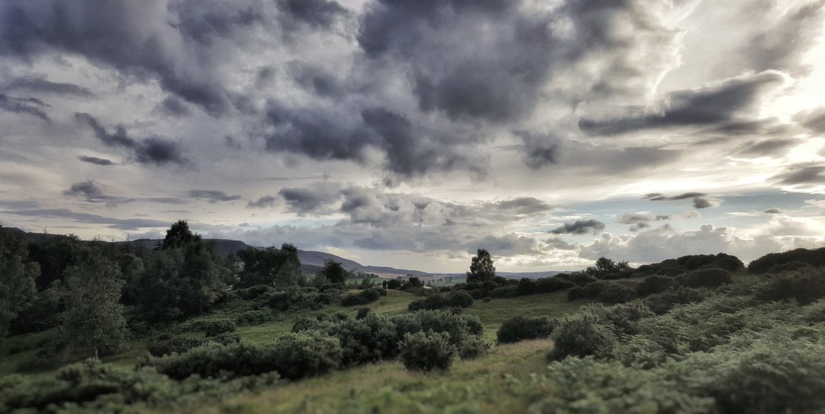 Mention <a href="/NorthEastImages/">NorthEastImages</a> for retweets. Tag for likes.

Northumberland: