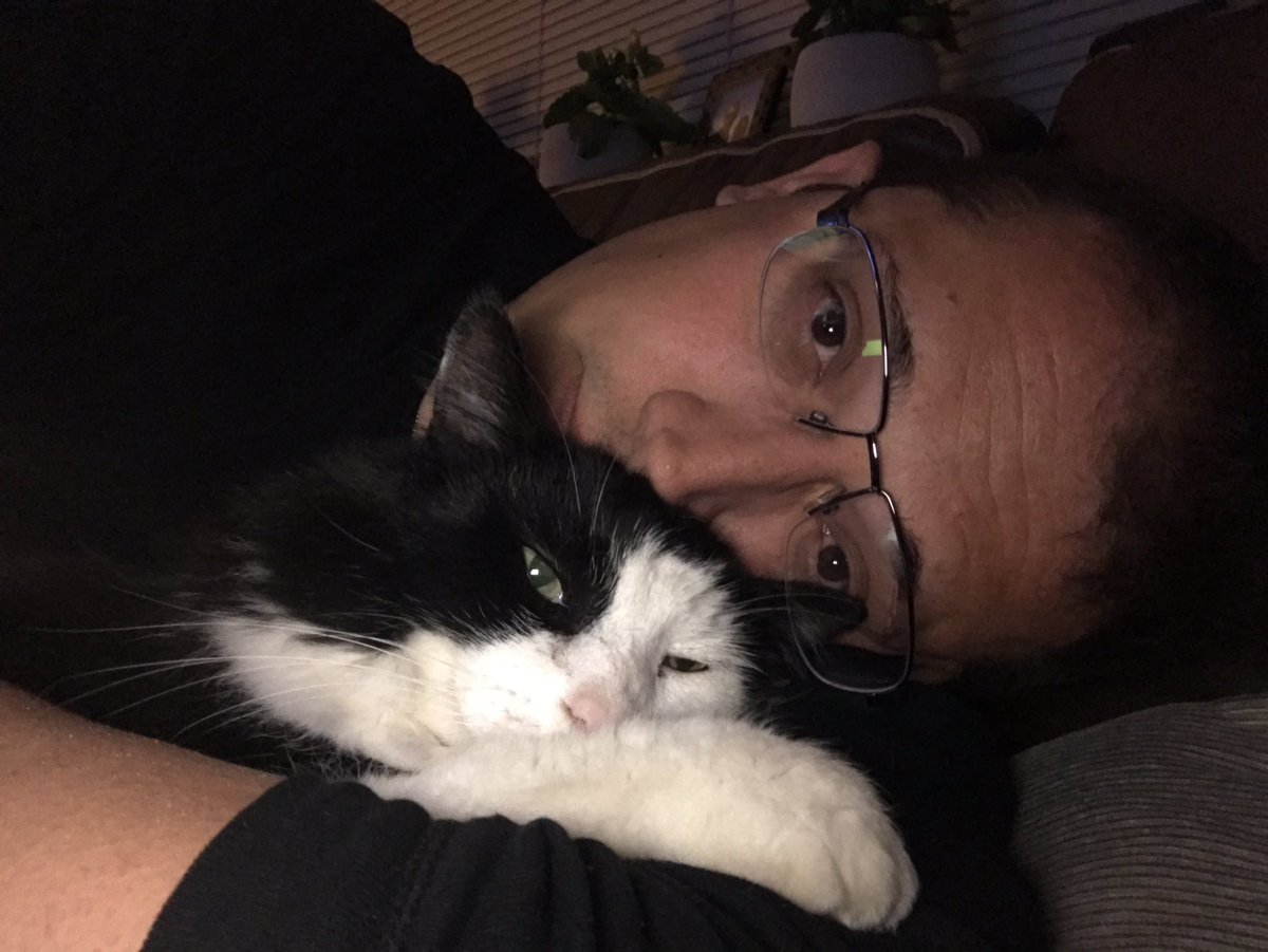 Mr_Dogz's tweet photo. Tiberius has been with us 3 years this week since he was rescued as a stray! #CatsofTwitter https://t.co/LgN6HFKOhE