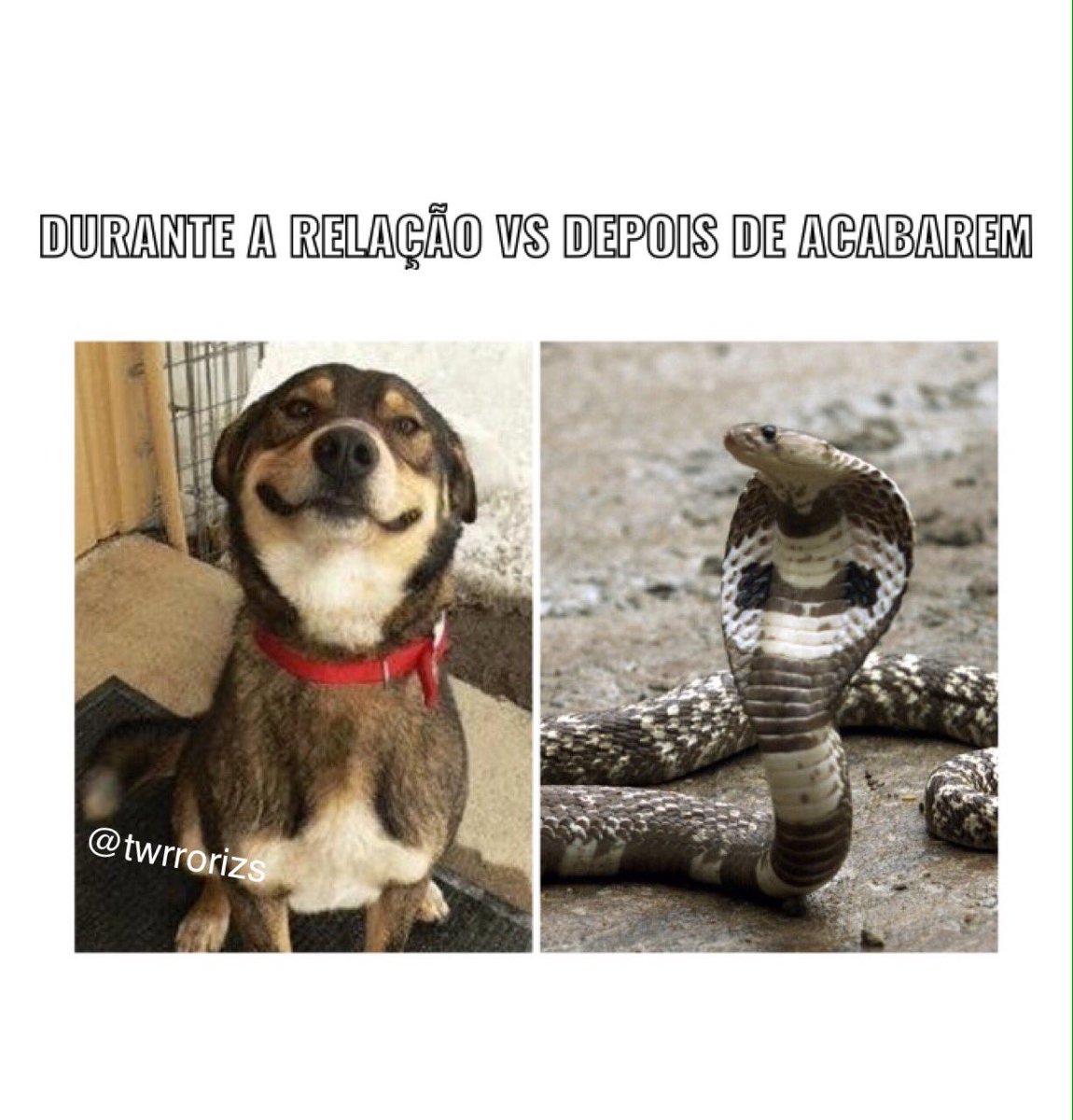 Créditos: <a href="/twrrorizs/">Dave.</a> #MemesDoDake