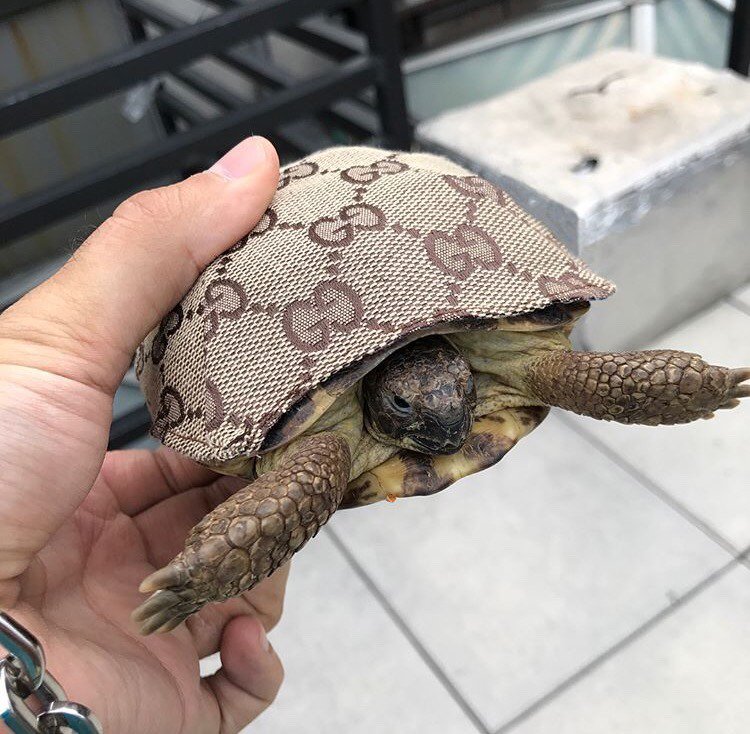 itwwcf's tweet image. 