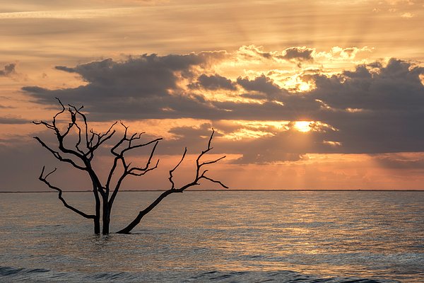 MichaelDPhotos's tweet photo. New artwork for sale! - "Behold 2" - https://t.co/xU4TEJPTVl @fineartamerica https://t.co/4dg8Y04Zoy