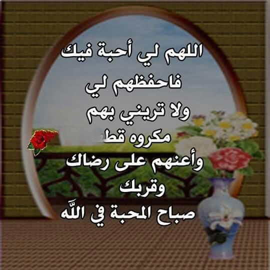 amiramia112000's tweet photo. https://t.co/kfgMc9N6zD