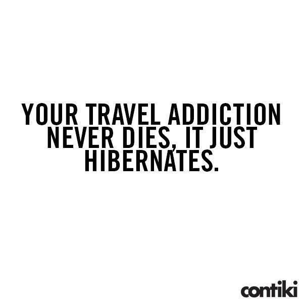 contiki's tweet photo. RT if you're feeling us. 😎 https://t.co/6VhwMZGJDH