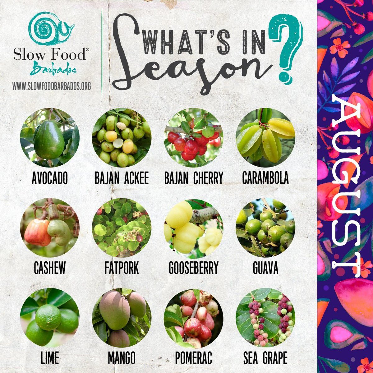 slowfoodbb's tweet photo. Support local this month by choosing seasonal fruit! Which one is your favourite? 🍈🍐🍑
#SlowFoodbb #Supportlocal #Localfruit #Barbados https://t.co/aL9fcCWaw4